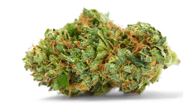 medical cannabis in flower form